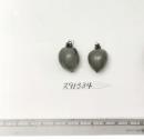 Click for 1 image(s) for this accession. FRUIT